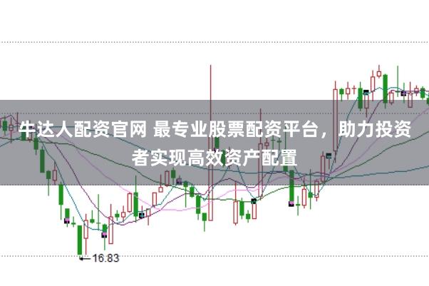 牛达人配资官网 最专业股票配资平台，助力投资者实现高效资产配置