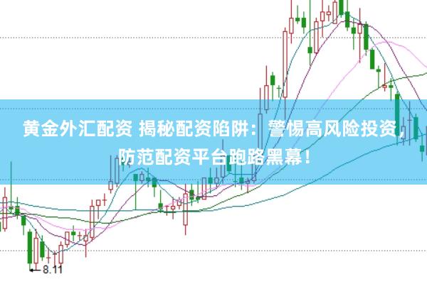 黄金外汇配资 揭秘配资陷阱：警惕高风险投资，防范配资平台跑路黑幕！