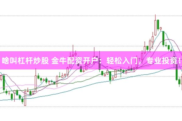 啥叫杠杆炒股 金牛配资开户：轻松入门，专业投资！