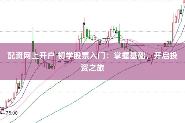 配资网上开户 初学股票入门：掌握基础，开启投资之旅