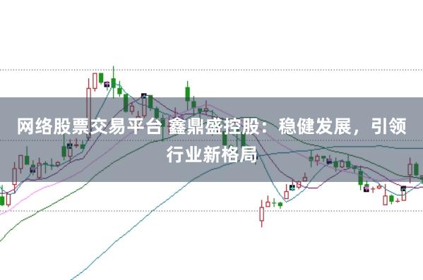 网络股票交易平台 鑫鼎盛控股：稳健发展，引领行业新格局