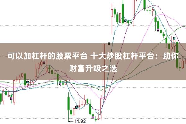 可以加杠杆的股票平台 十大炒股杠杆平台：助你财富升级之选