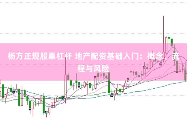 杨方正规股票杠杆 地产配资基础入门：概念、流程与风险