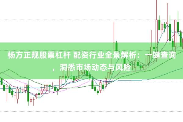 杨方正规股票杠杆 配资行业全景解析：一键查询，洞悉市场动态与风险
