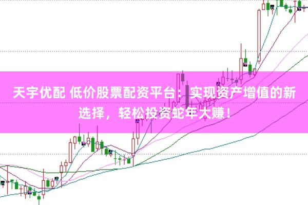 天宇优配 低价股票配资平台：实现资产增值的新选择，轻松投资蛇年大赚！
