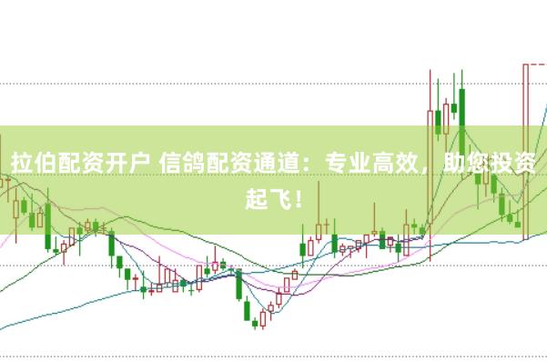 拉伯配资开户 信鸽配资通道：专业高效，助您投资起飞！