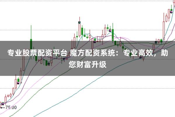 专业股票配资平台 魔方配资系统：专业高效，助您财富升级