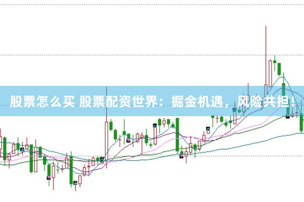 股票怎么买 股票配资世界：掘金机遇，风险共担！