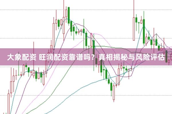 大象配资 旺润配资靠谱吗？真相揭秘与风险评估