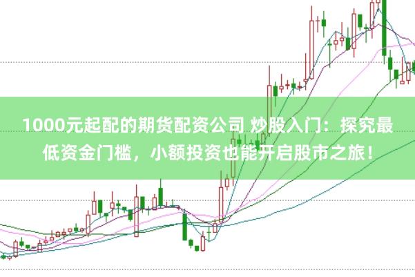 1000元起配的期货配资公司 炒股入门：探究最低资金门槛，小额投资也能开启股市之旅！