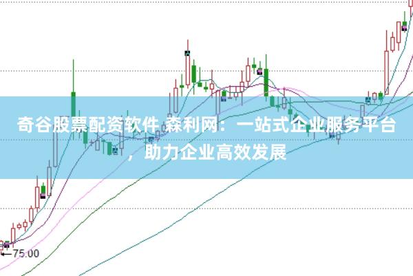 奇谷股票配资软件 森利网：一站式企业服务平台，助力企业高效发展