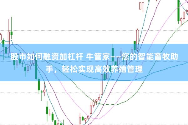 股市如何融资加杠杆 牛管家——您的智能畜牧助手，轻松实现高效养殖管理