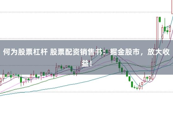 何为股票杠杆 股票配资销售书：掘金股市，放大收益！