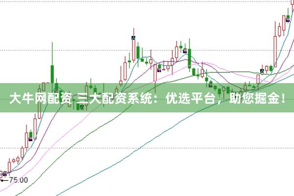 大牛网配资 三大配资系统：优选平台，助您掘金！
