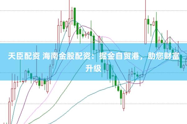 天臣配资 海南金股配资：掘金自贸港，助您财富升级