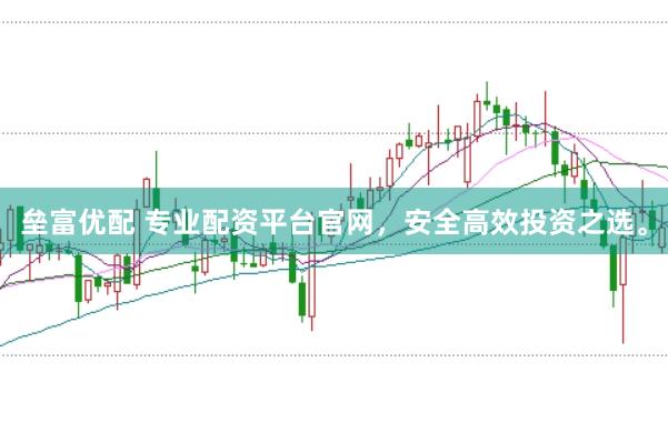 垒富优配 专业配资平台官网，安全高效投资之选。
