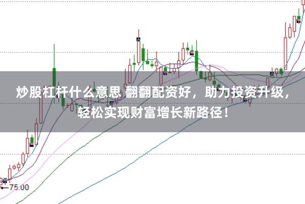炒股杠杆什么意思 翻翻配资好，助力投资升级，轻松实现财富增长新路径！