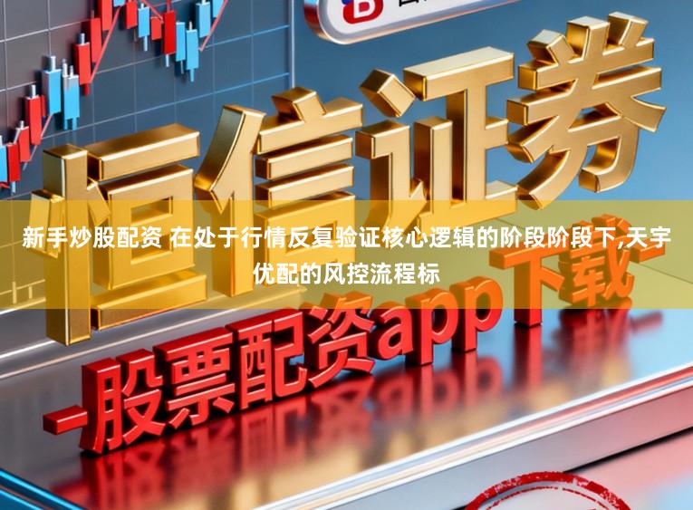 新手炒股配资 在处于行情反复验证核心逻辑的阶段阶段下,天宇优配的风控流程标