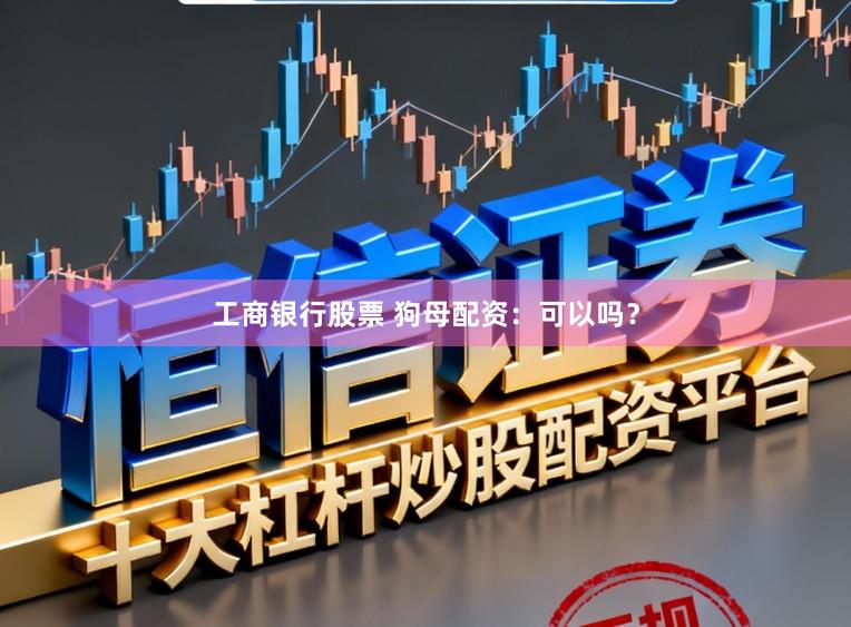 工商银行股票 狗母配资：可以吗？